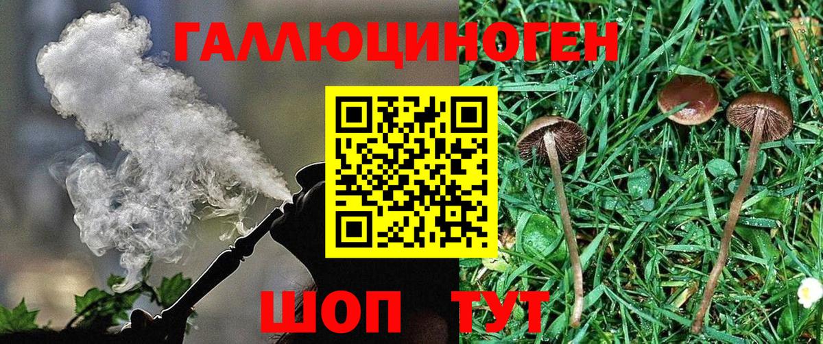Галлюциногенные грибы Psilocybe  Галлюциногенные грибы Magic Shrooms  Грозный  Вход с VPN 
